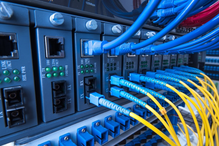 Network Protection
